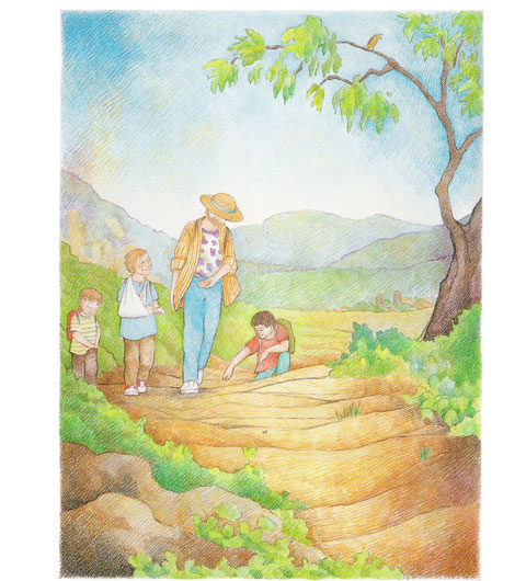 the family walks along a path - illustration from Clouds on the Mountain